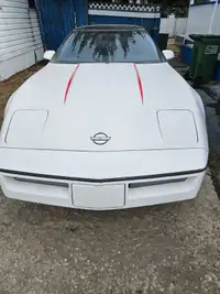 1984 corvette 