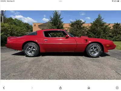 Looking for 1981 Trans am just like one in picture Let me know what you have