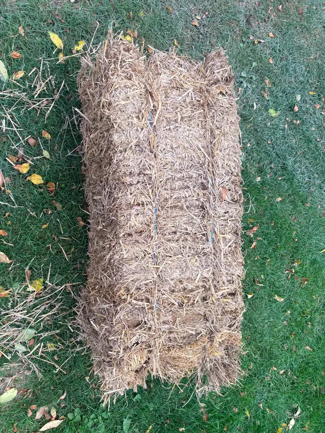 Wheat Straw Bales- Stony Mountain Area | Livestock | Winnipeg | Free ...