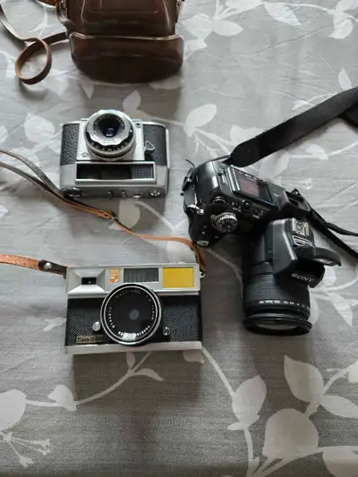 Collectable Cameras , View more