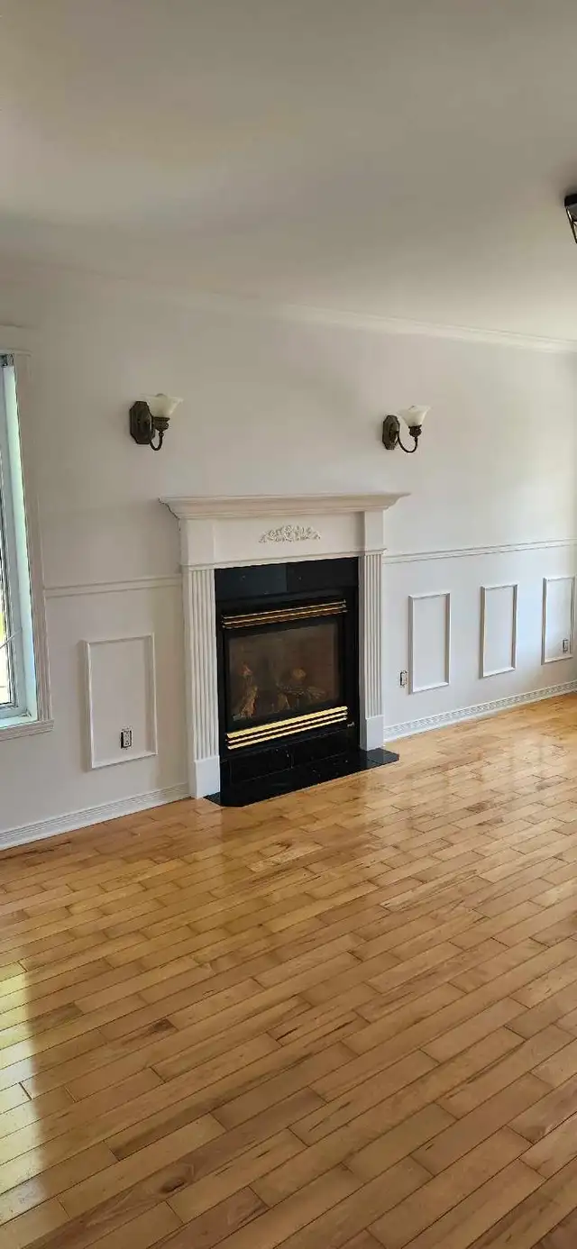 Experienced Professional Painters569242524950220806