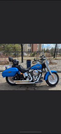 2002 Harley Davidson fat boy