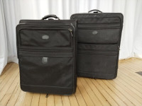 Atlantic Luggage (set of 2)