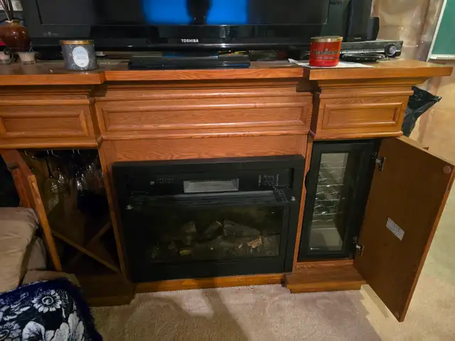 Fireplace stand tv fridge & glass wine in Fireplace & Firewood in Ottawa - Image 4