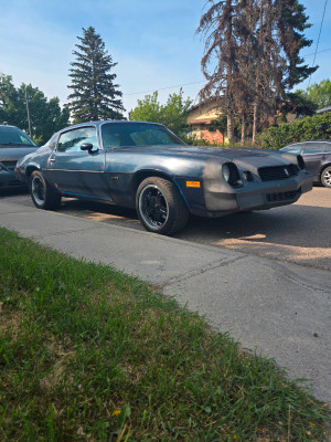 1981 Chevrolet Camaro