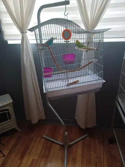 belle cage sur pied avec 2 perruches propre bon état $100, View more