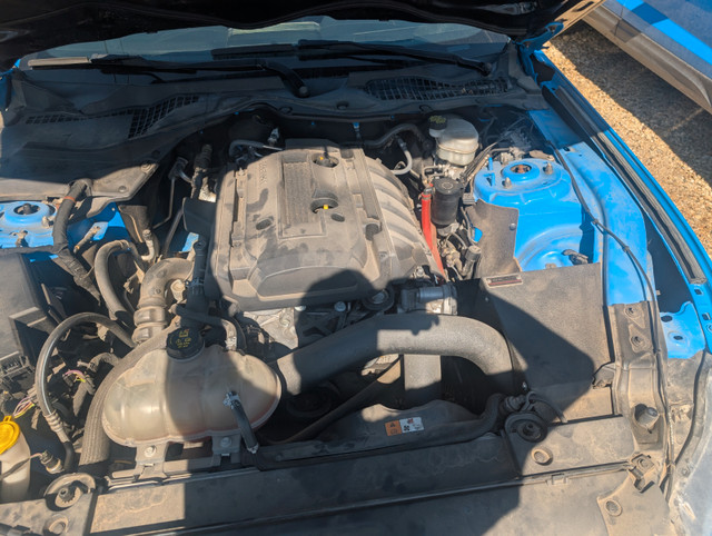 2017 Ford Mustang in Cars & Trucks in Grande Prairie - Image 4