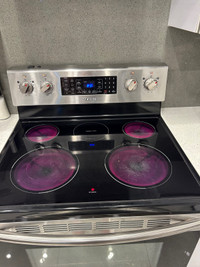 Fully Working electric Stove