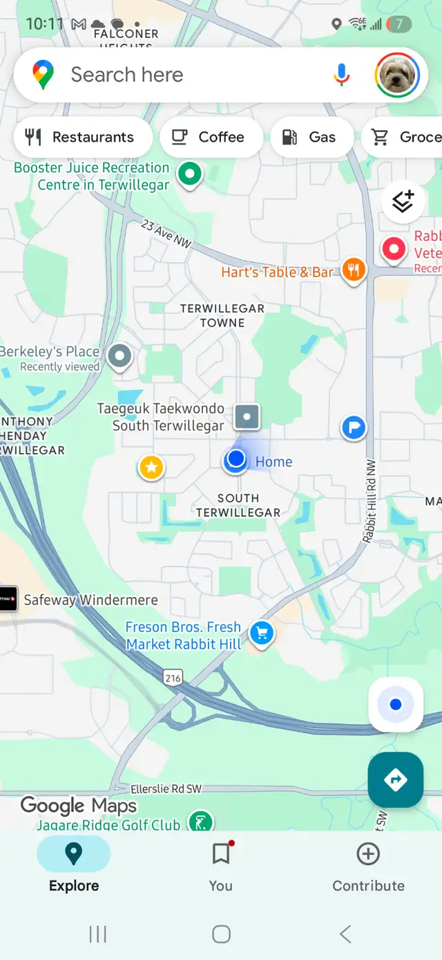 LOST CAT - Terwillegar - Scottish Fold/Siamese. PLEASE HELP in Lost & Found in Edmonton - Image 6