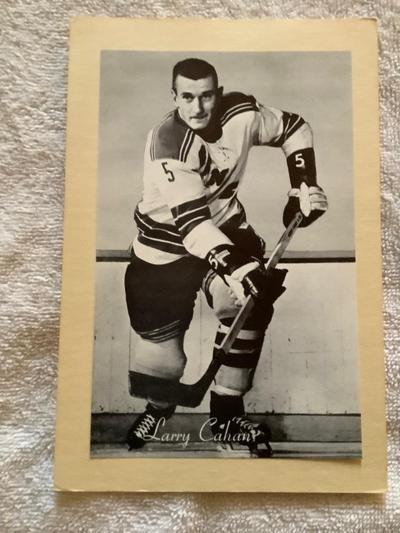 LARRY CAHAN - NEW YORK RANGERS "BEEHIVE PHOTO", View more