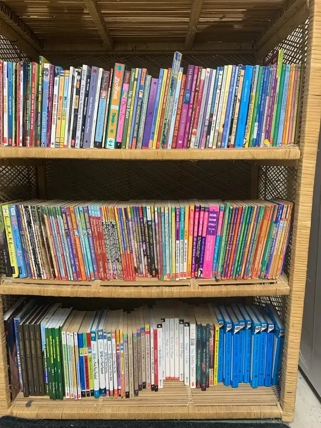 Children's Novels and Chapter Books, Over 100! in Children & Young Adult in Kingston - Image 2