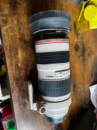 Canon Telezoom Lens with Filtered Lens 