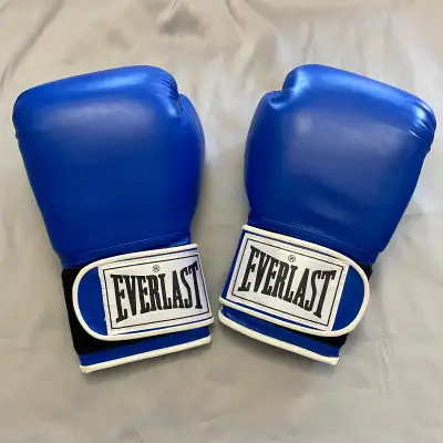 New 12 oz Everlast boxing gloves, View more