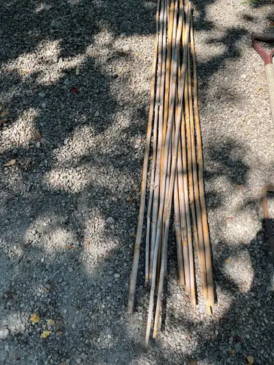 Bamboo Sticks, View more