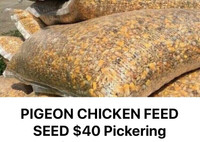 PIGEON FEED SEED CHICKEN LAYER MASH $45 Pickering 