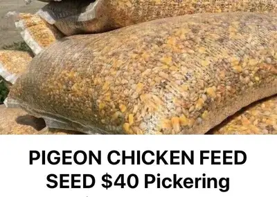 PIGEON FEED BAGS $45 each bag Approx 50lb bag Chicken hen egg layer mash Feed for chickens $40 each...