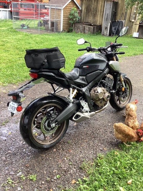 Honda CB650R dans Routières sportives  à Rimouski / Bas-St-Laurent - Image 3