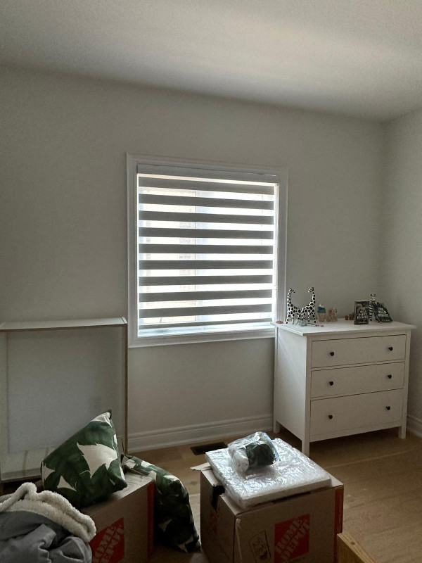 Luxury zebra blinds for sale. Wholesale prices! Holiday special in Home Décor & Accents in Hamilton