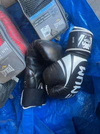 Boxing/MMA gloves 