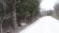 PRIVATE Five Wooded Acres-8 minutes from Renfrew...$190,000