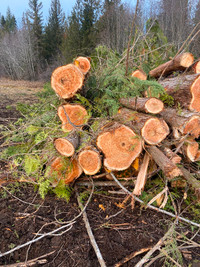 Logging contract  for sale Bill 13 renewable evergreen