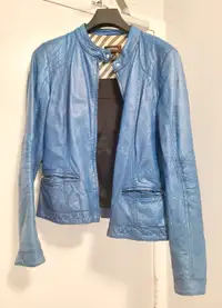 Danier Blue Leather Jacket