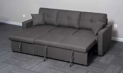 Modern Pull-Out Sofa Bed with Storage |  Free Delivery, View more