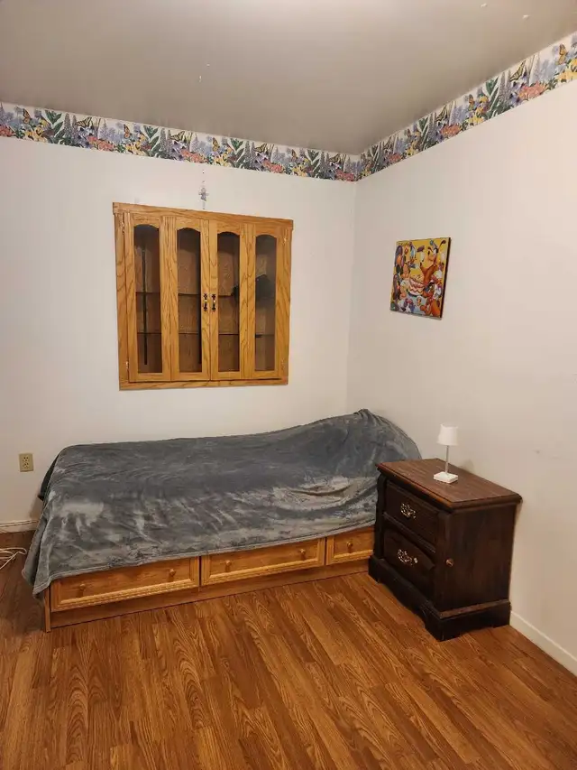 Lake Echo Apartment for rent in Short Term Rentals in Dartmouth - Image 8