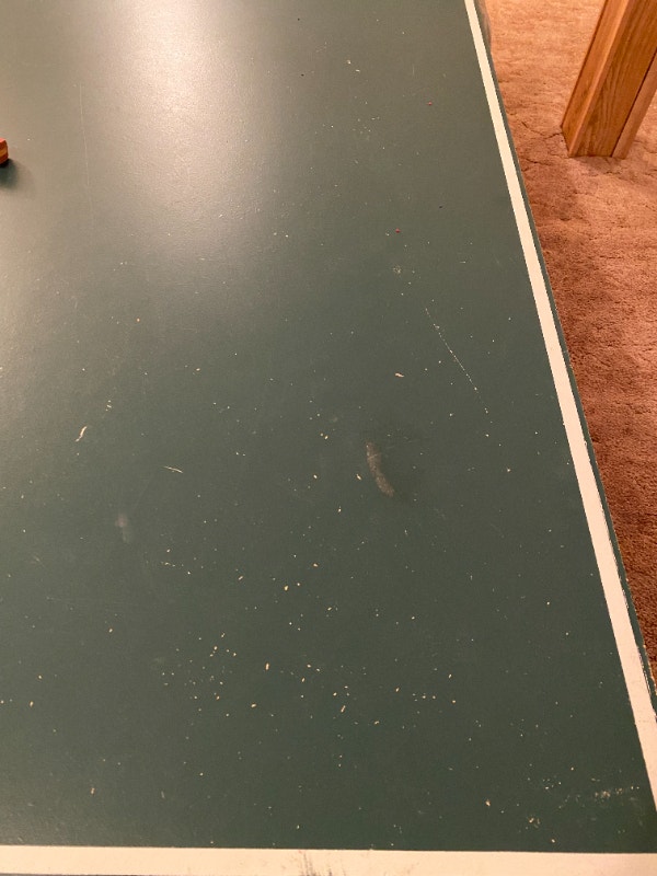 Ping Pong Table (includes balls and paddles) Other City of Toronto