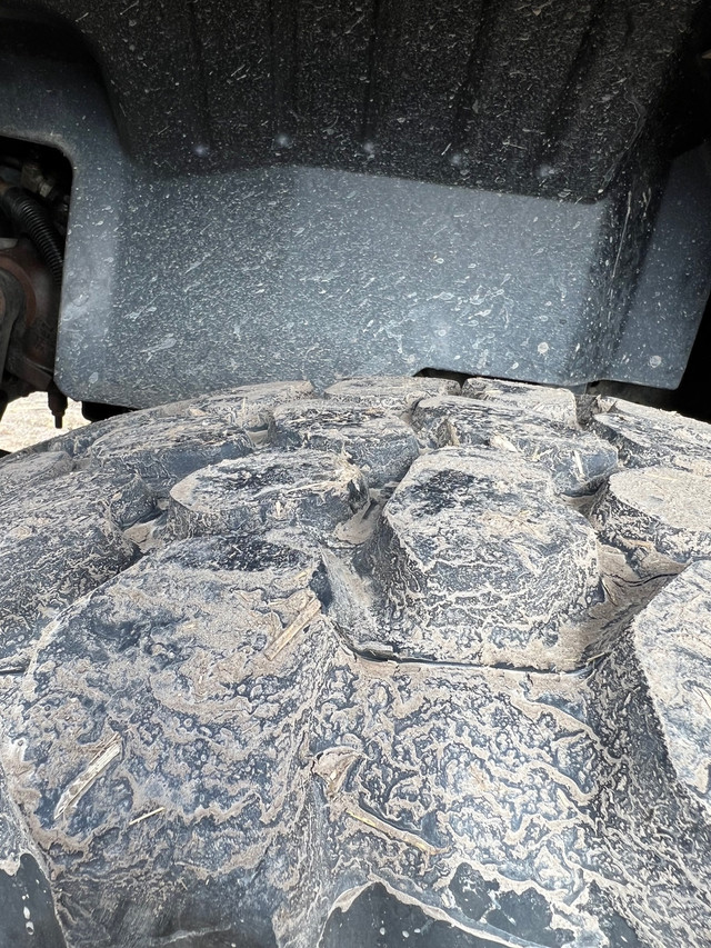 365/80R20 with rims in Tires & Rims in Lethbridge - Image 4