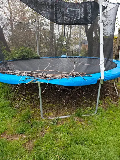 We can't remember the exact size but it's one of the bigger ones. 14 or 15 feet. 4 years old. The re...