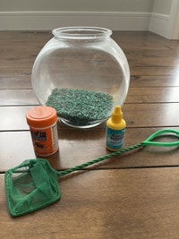 Beginner fish tank and accessories 