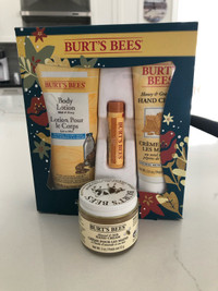 Burt’s Bees kit 