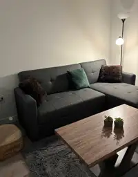 Brand new couch/sofa bed
