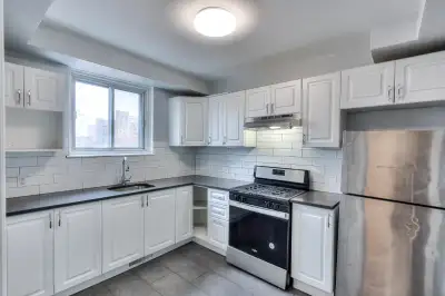 1 Bed 1 Bath Apartment