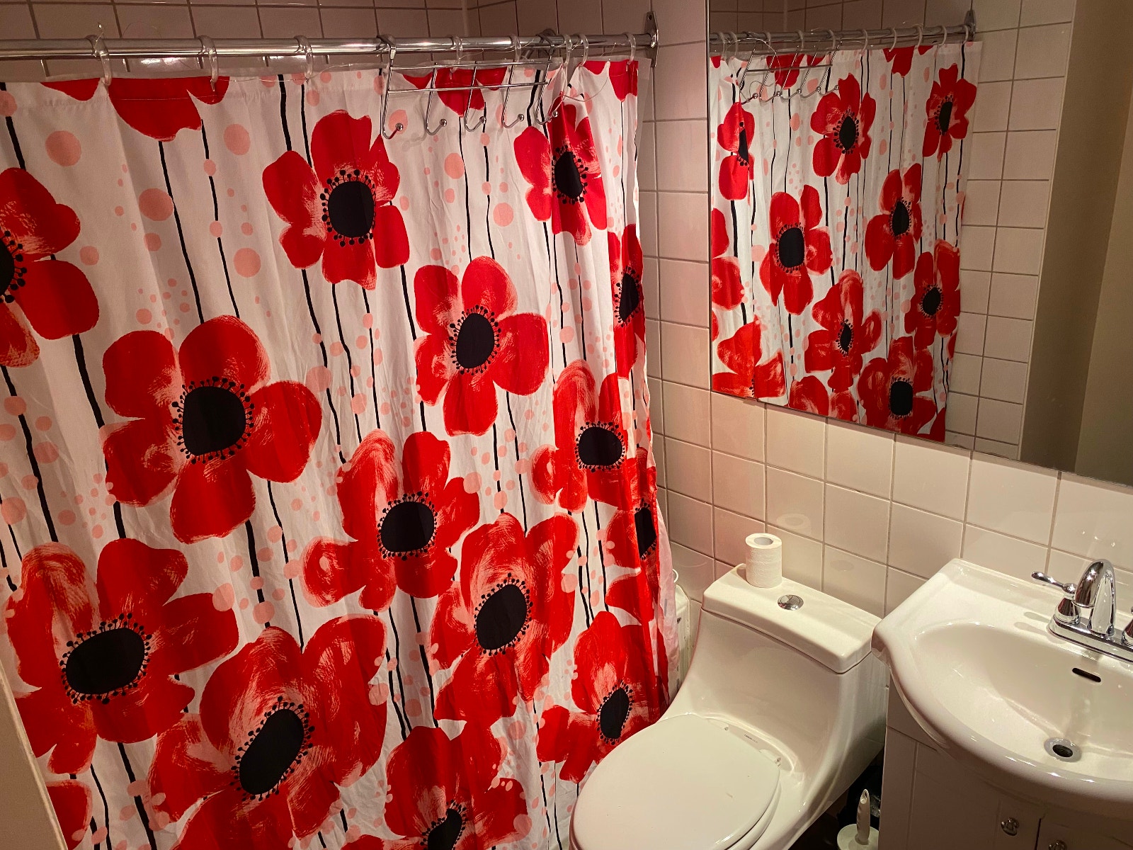 1er juillet - Colocation - 650$ tout inclus - H2L 3G4 — photo 3