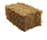 Small square bales of wheat straw