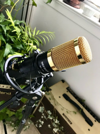 Neewer NW-800 Condensor Microphone with Stand and Boom