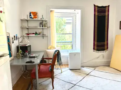 BRIGHT, FURNISHED 2 1/2 - CONCORDIA / MCGILL DOWNTOWN