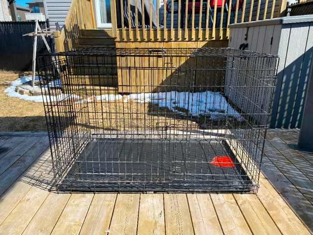 Cage à chien dans Accessoires  à Laval/Rive Nord - Image 2