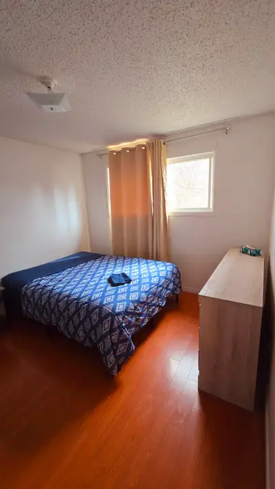 Furnished room in Renfrew