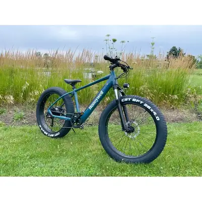 HONEYWELL EL CAPITAN X ELECTRIC BIKE FAT TIRE TURQUOISE $759, View more