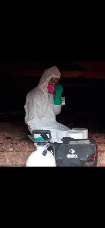 DMR Mold Removal, View more