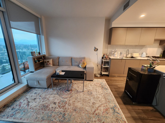 Furnished 2 Bedroom + 2 Bathroom in Long Term Rentals in Burnaby/New Westminster - Image 2