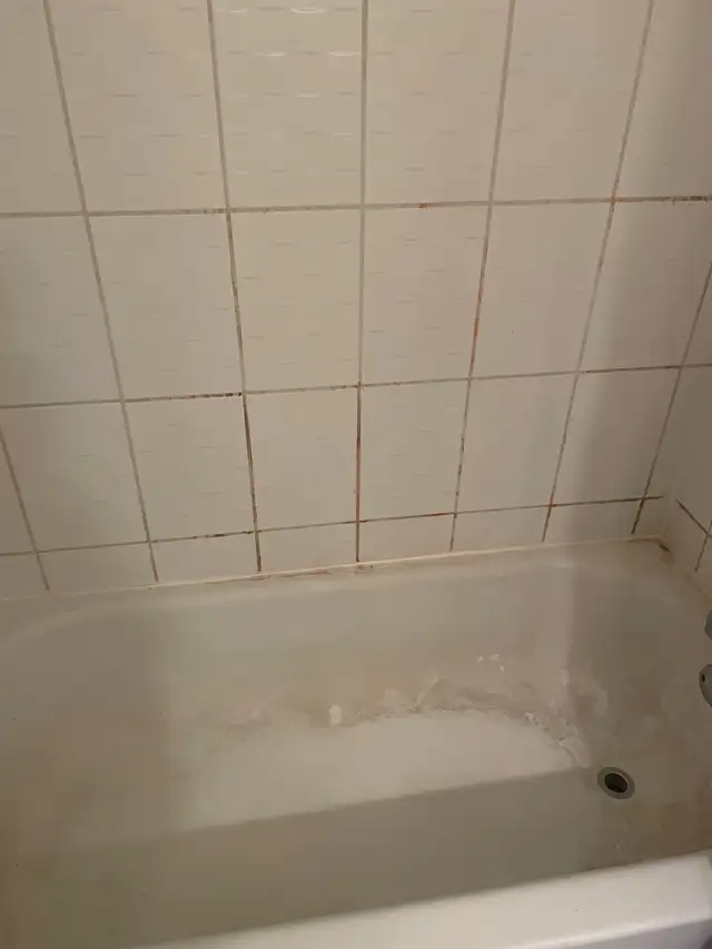 Professional Cleaner with 10+ Years of Experience (Midtown)62863716670210123