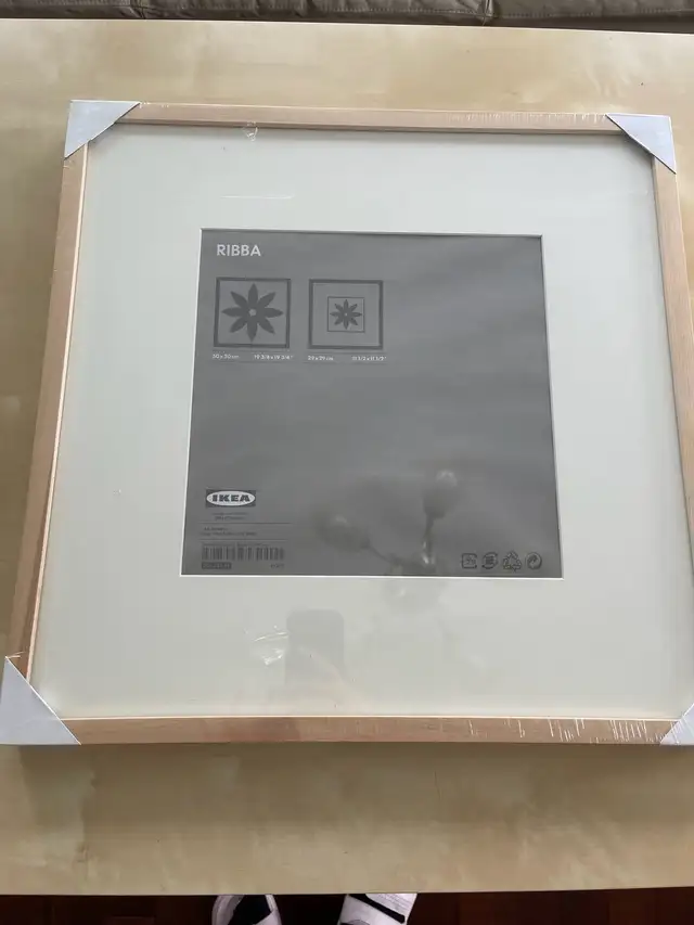 IKEA Ribba Picture Frame, 19 3/4”x 19 3/4” 