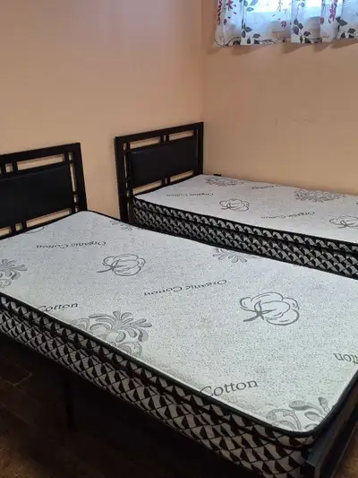 Sharing room available for (female student) $400 rent includes all utilities and wifi Room is fully...