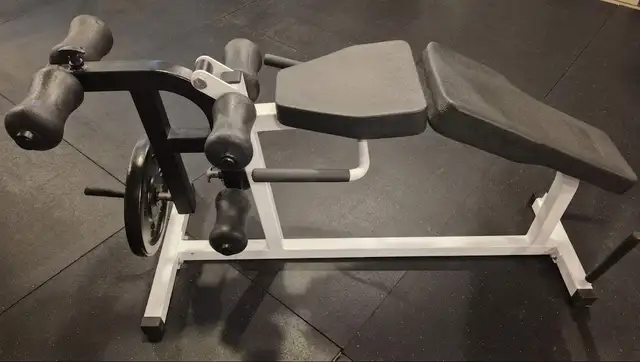 Northern Lights: leg curl/raise bench | Exercise Equipment | Barrie ...