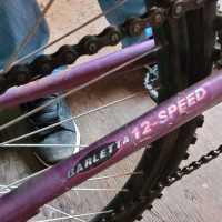 12 speed Mt bike 