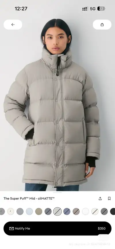 Aritzia The Super Puff-Mid (Ashen), View more